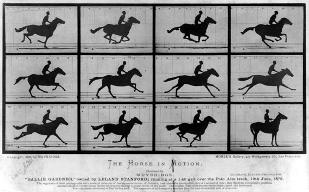 Théorie Galop 2 – Blog cheval [ Passion Equitation ] - Paperblog